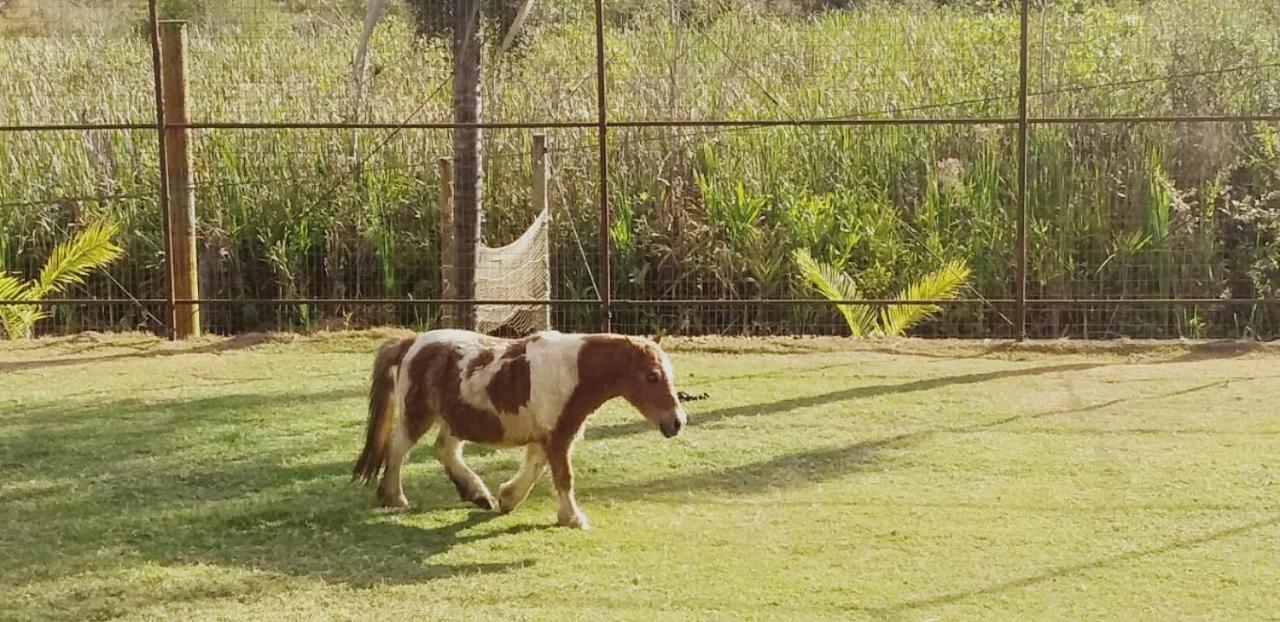 Hotel Fazenda Tucano Capim Branco エクステリア 写真